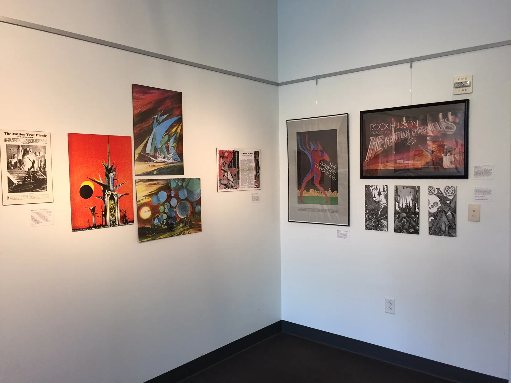 Copy of IMG_2774.JPG