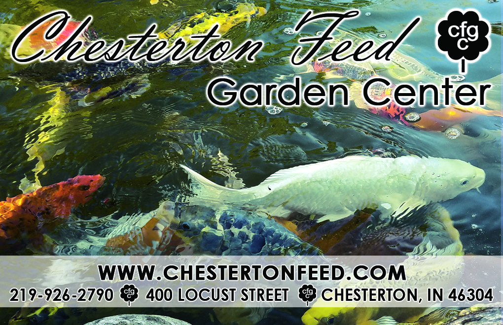 Pond Fish.jpg
