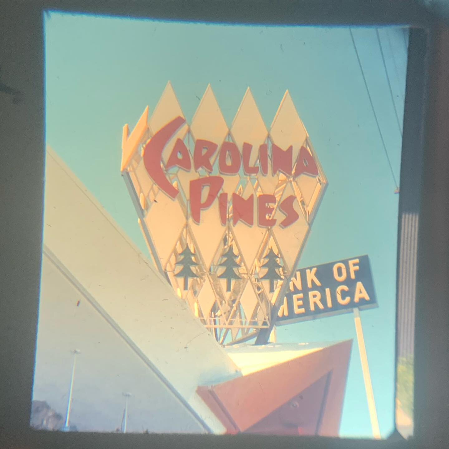 Looking through a Jack Laxer slide of Carolina Pines Jr. 3 on Ventura Blvd. see the rendering in GOOGIE MODERN! LINK IN BIO. 208 pages of Googie goodness.
#armetdavis #armetanddavis #midcenturymodernarchitecture #mcm #googiemodern
#midcenturymodern #