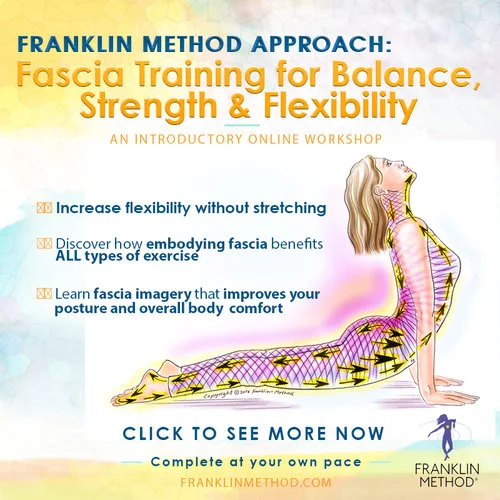 Fascia-training.jpg