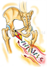 Pelvic floor.jpeg