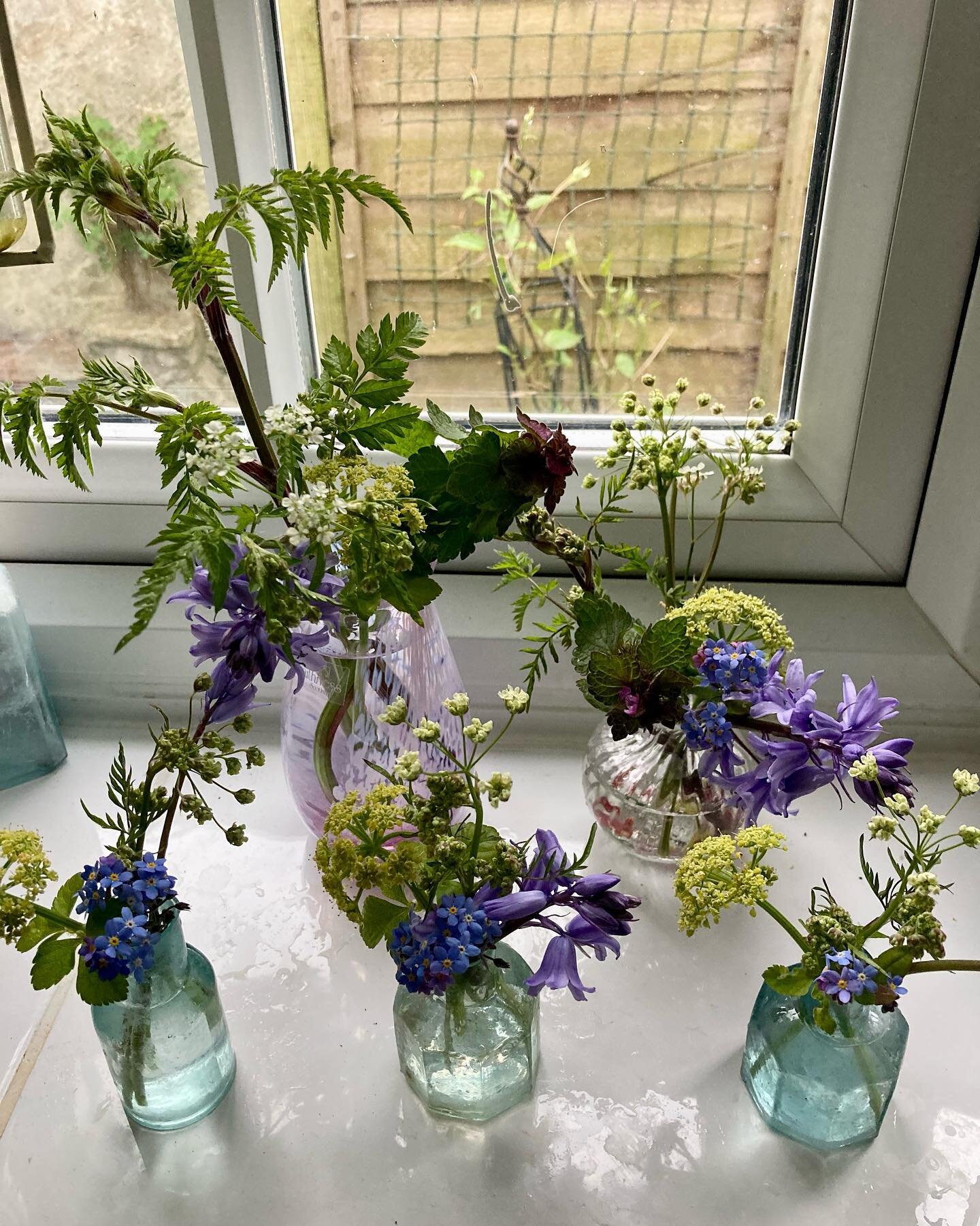 The joy from hedgerow flowers! #forgetmenot #lamium #cowparsley #bluebells #alexanders #mini #vases #inkwell #vintage #greenglass #hedgerow #spring #joy #flowerarrangement #savesomeforthebees #irrisistable