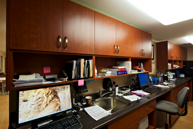 VETERINARY-TECH.-WORK-STATI.png