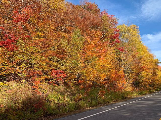 Another photo of the incredible foliage we get to witness while driving around New England in fall 😍 no filter needed!
&bull;
Don&rsquo;t forget to check out our website to learn more about us and our travels! Link is in our bio or go to: twopeopleo