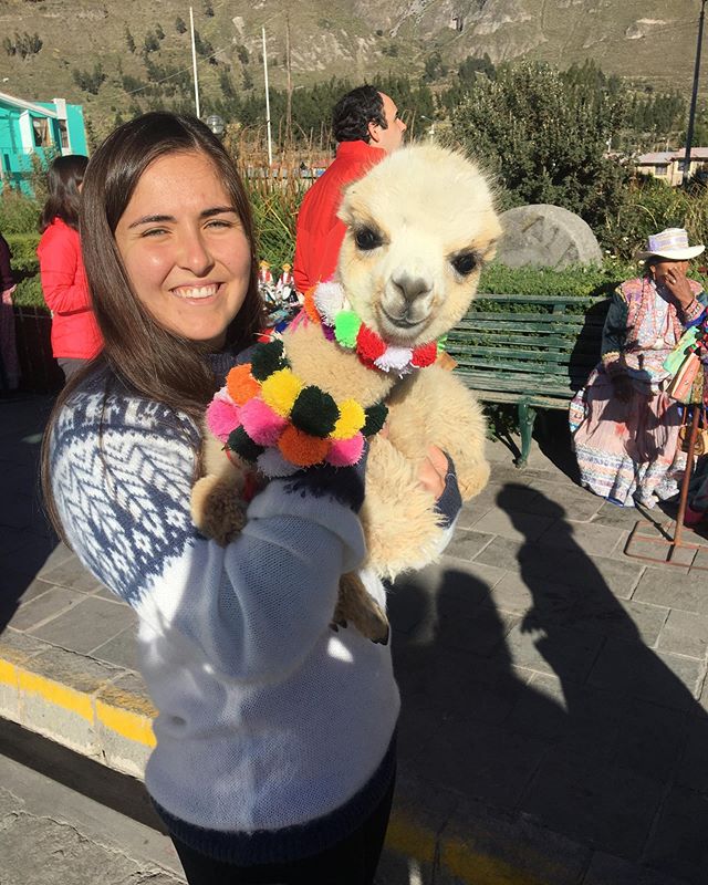 We miss snuggling these little guys all over Peru! How could you not fall in love with a baby alpaca that&rsquo;s wearing a scarf?! 😍 No matter what city we visited in Peru, we always found an alpaca to take a picture with! The best part is you only