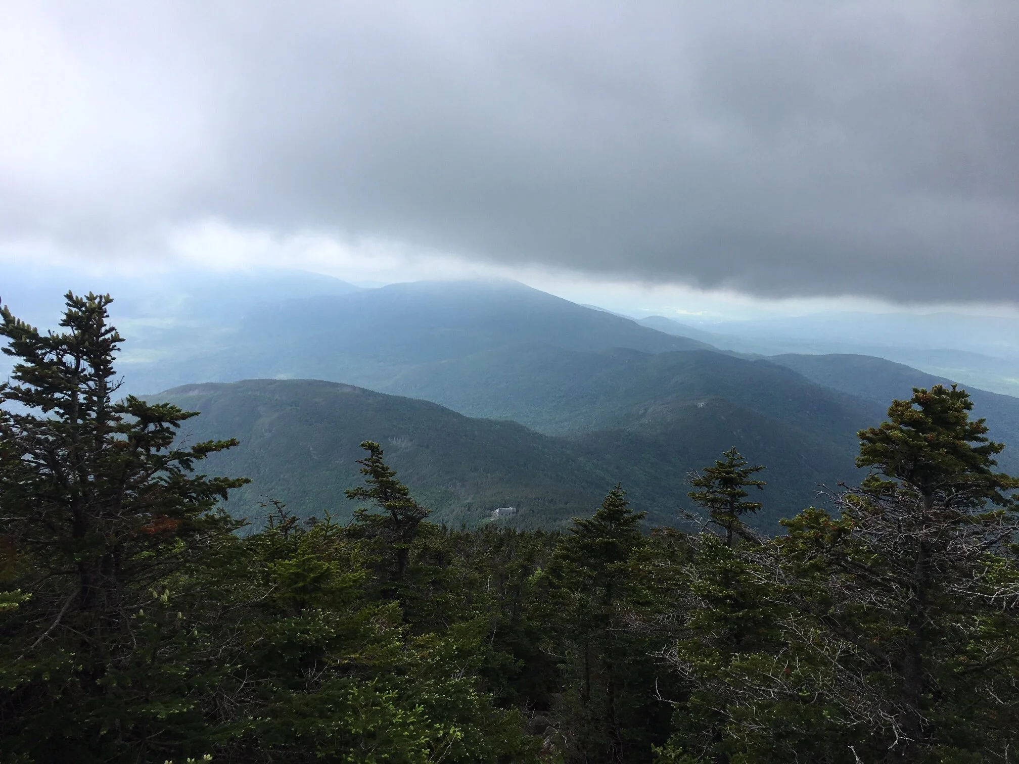 IMG_4277.JPG