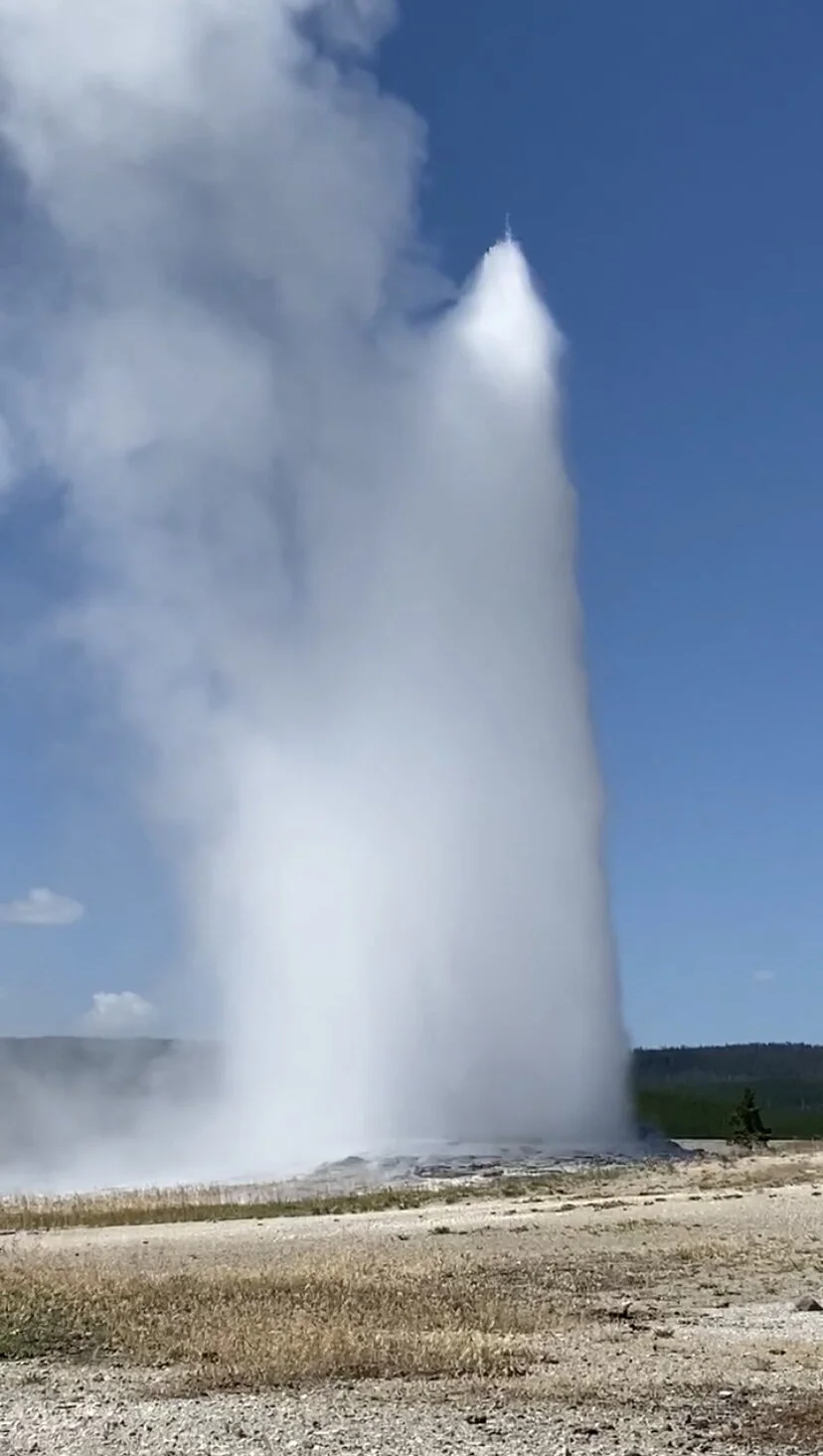 Old Faithful erupting right on time!