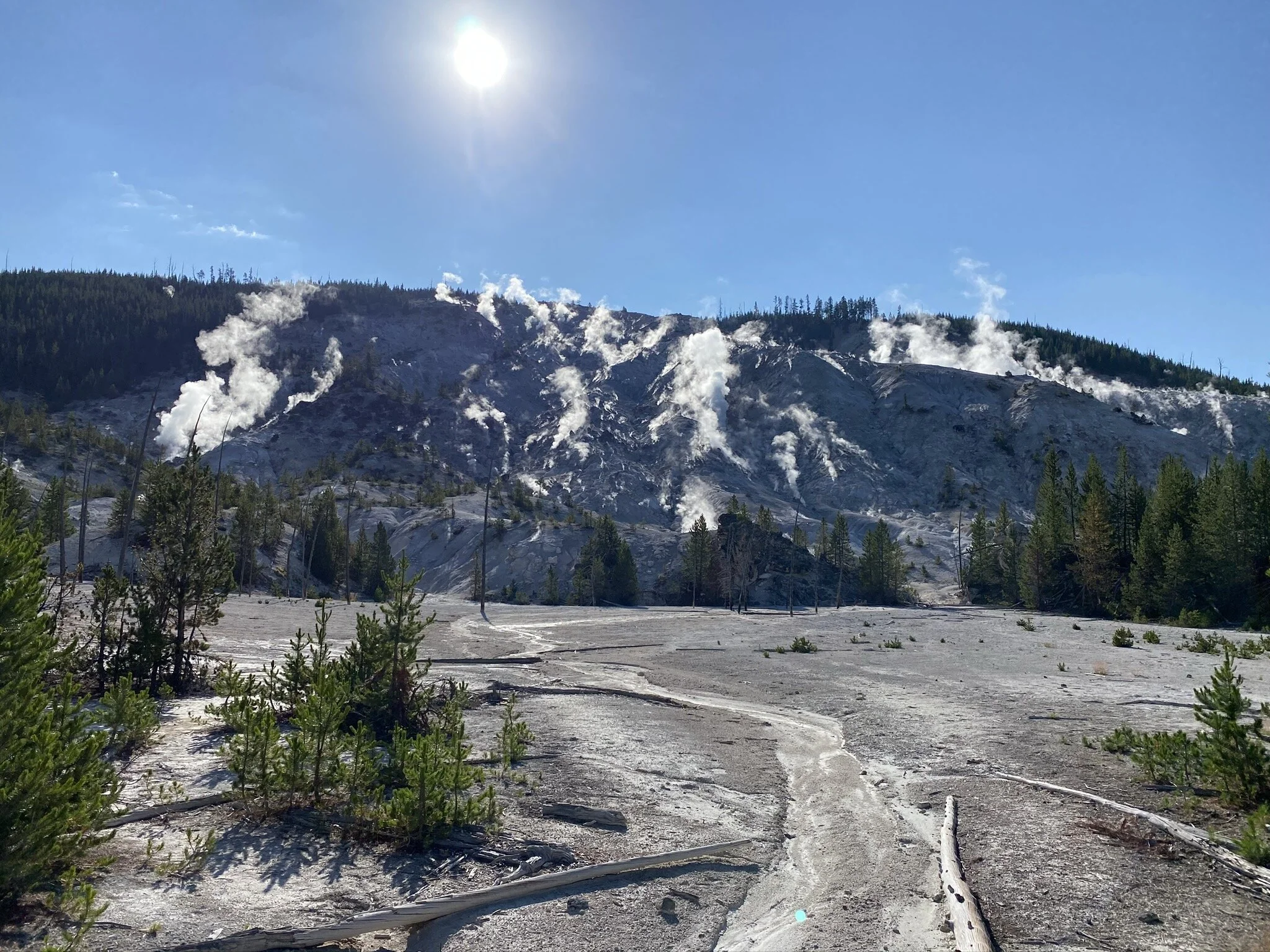 Roaring Mountain doesn’t really roar anymore but it sure is steamy
