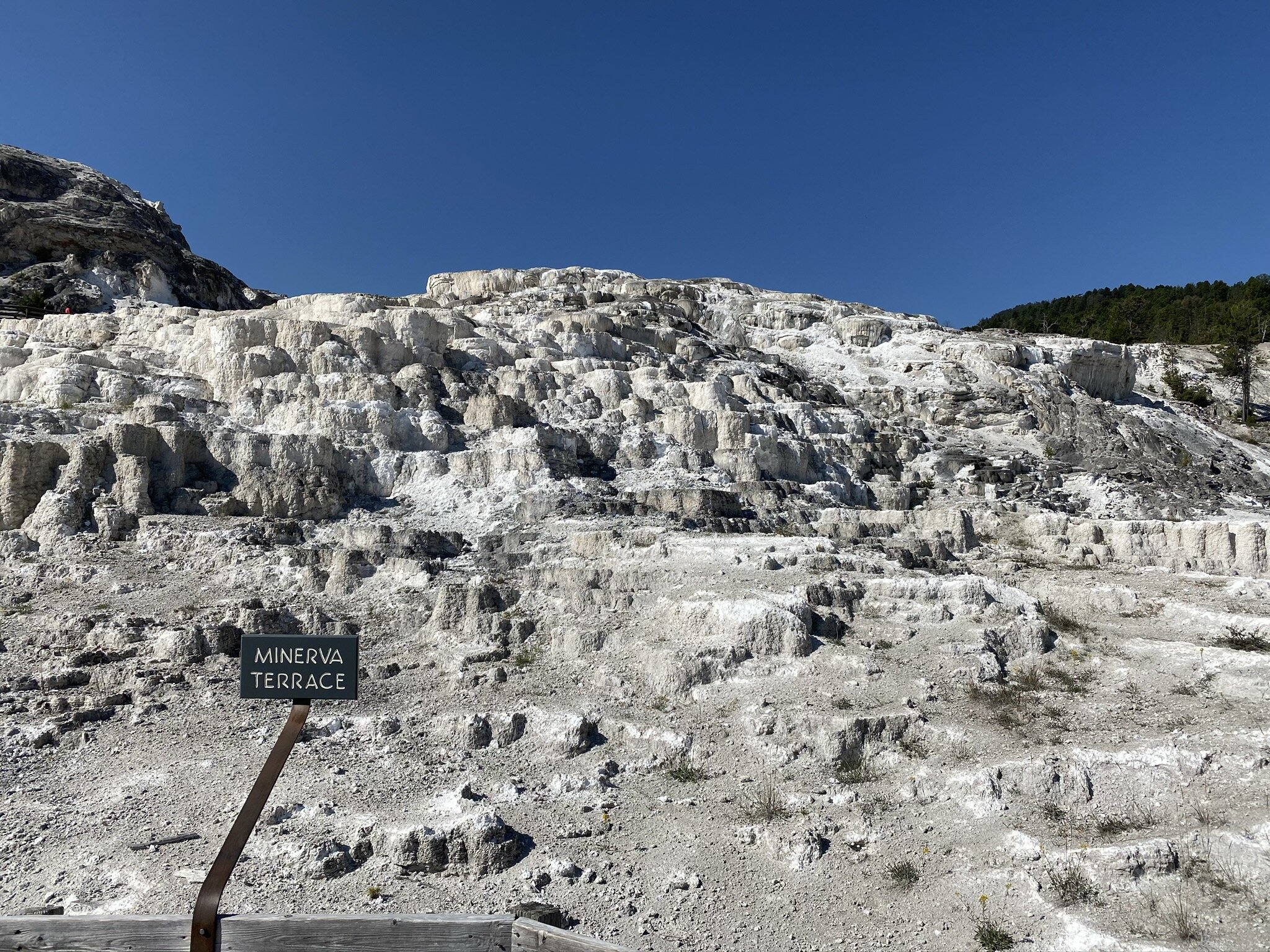 Minerva Terrace was definitely worth the short walk!