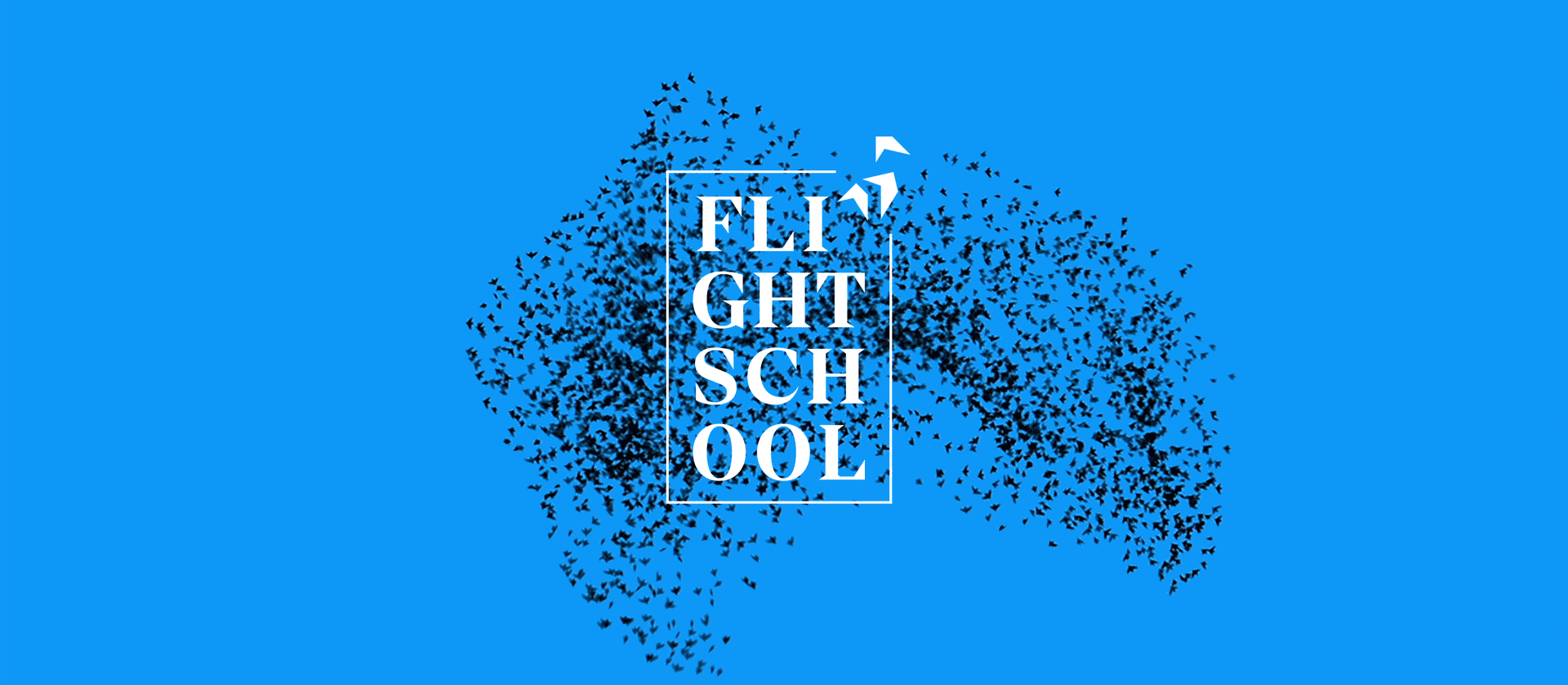 birds_2.gif