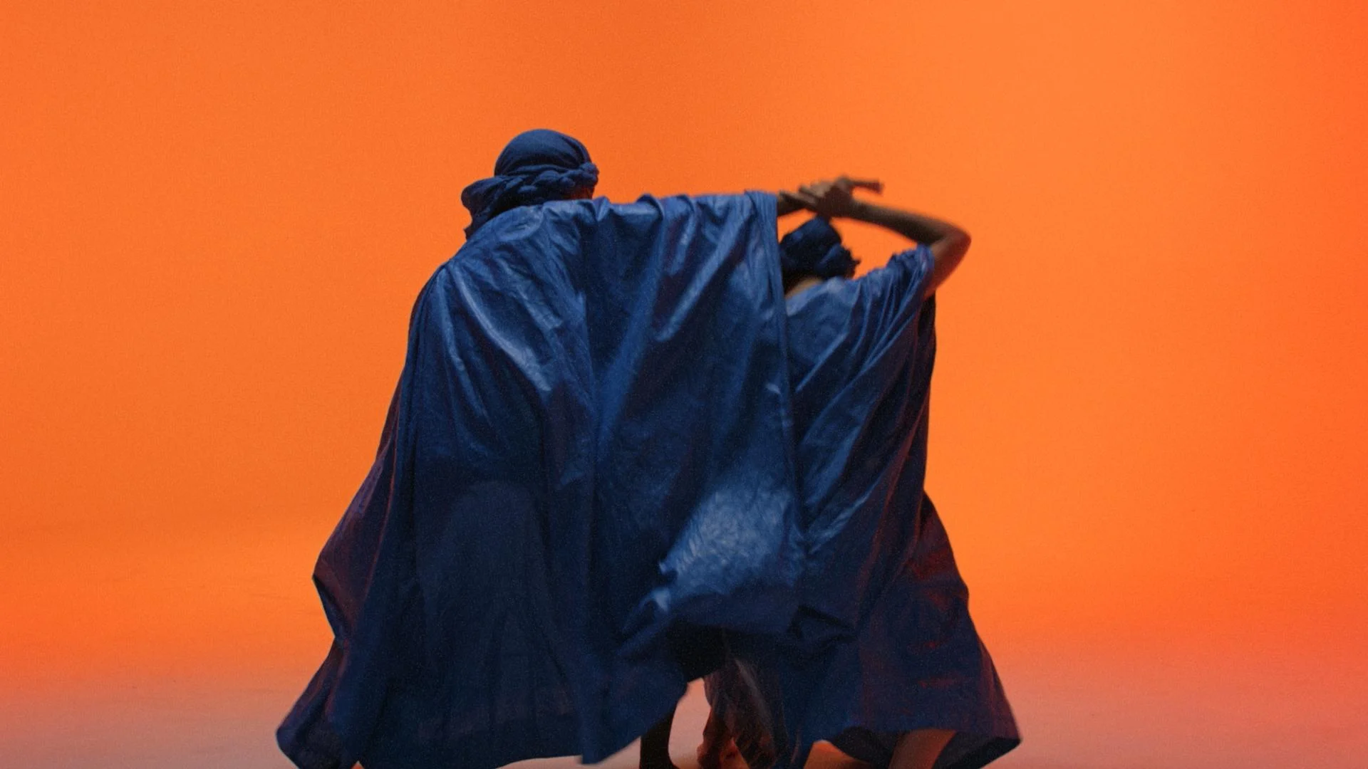Bombino_0003614.jpg