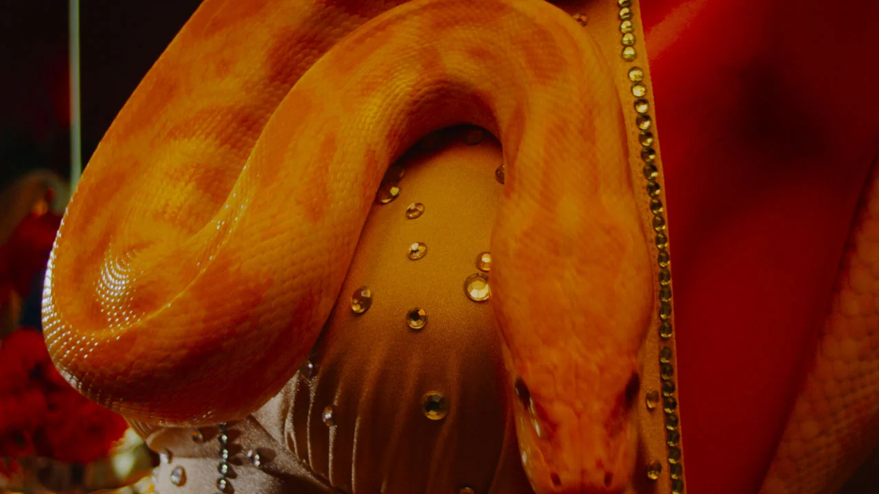 Britney_1.64.1.jpg