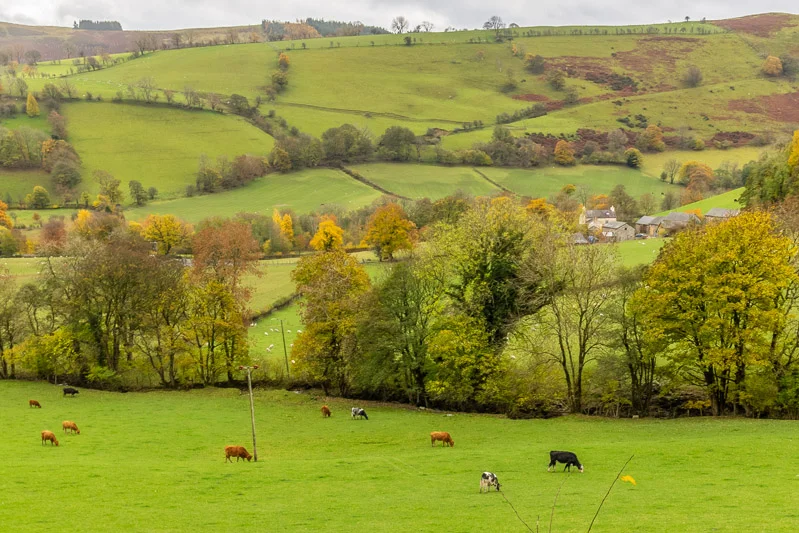 FarmHouse-6.jpg