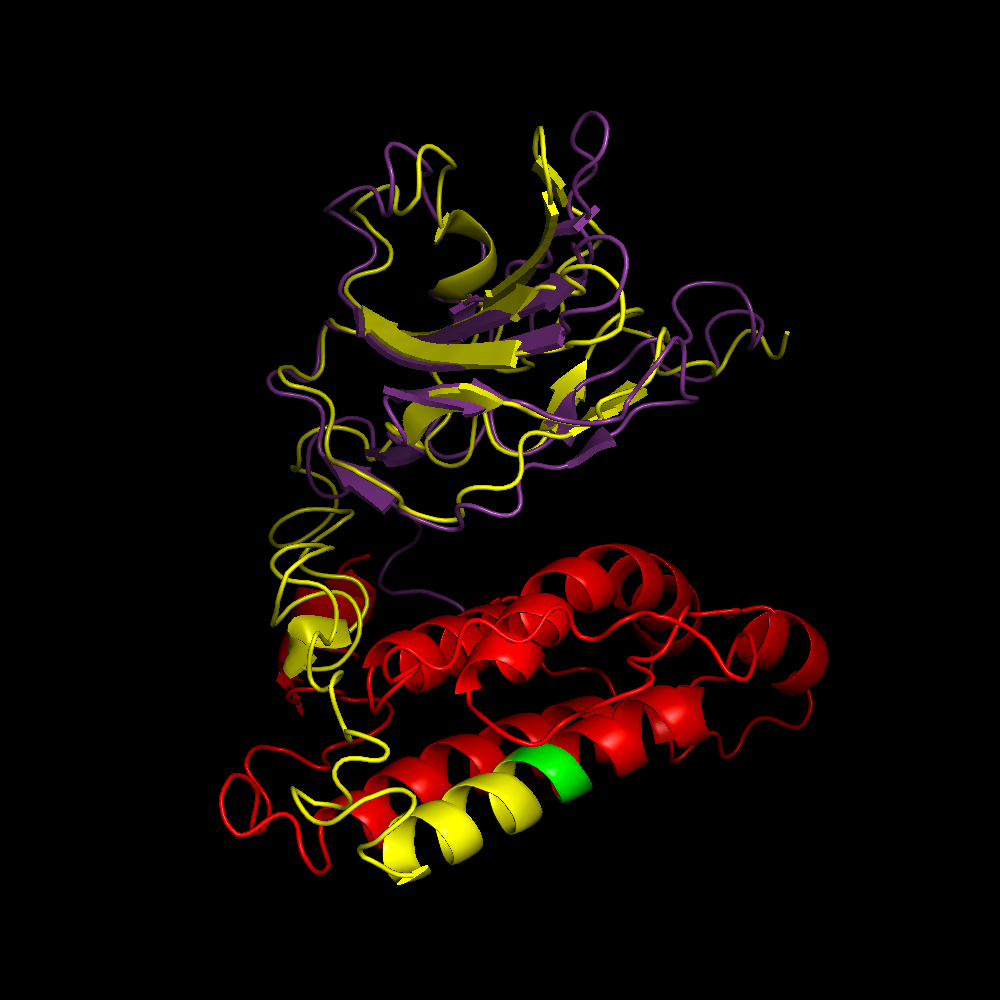 FIST Fusion Protein
