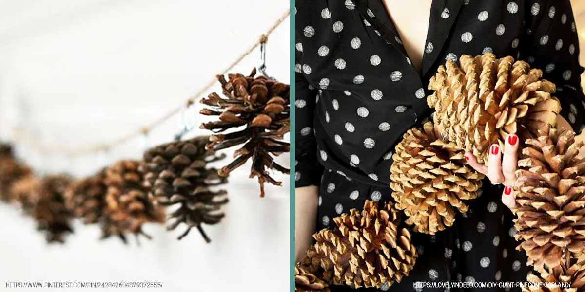 1-Pinecones.jpg