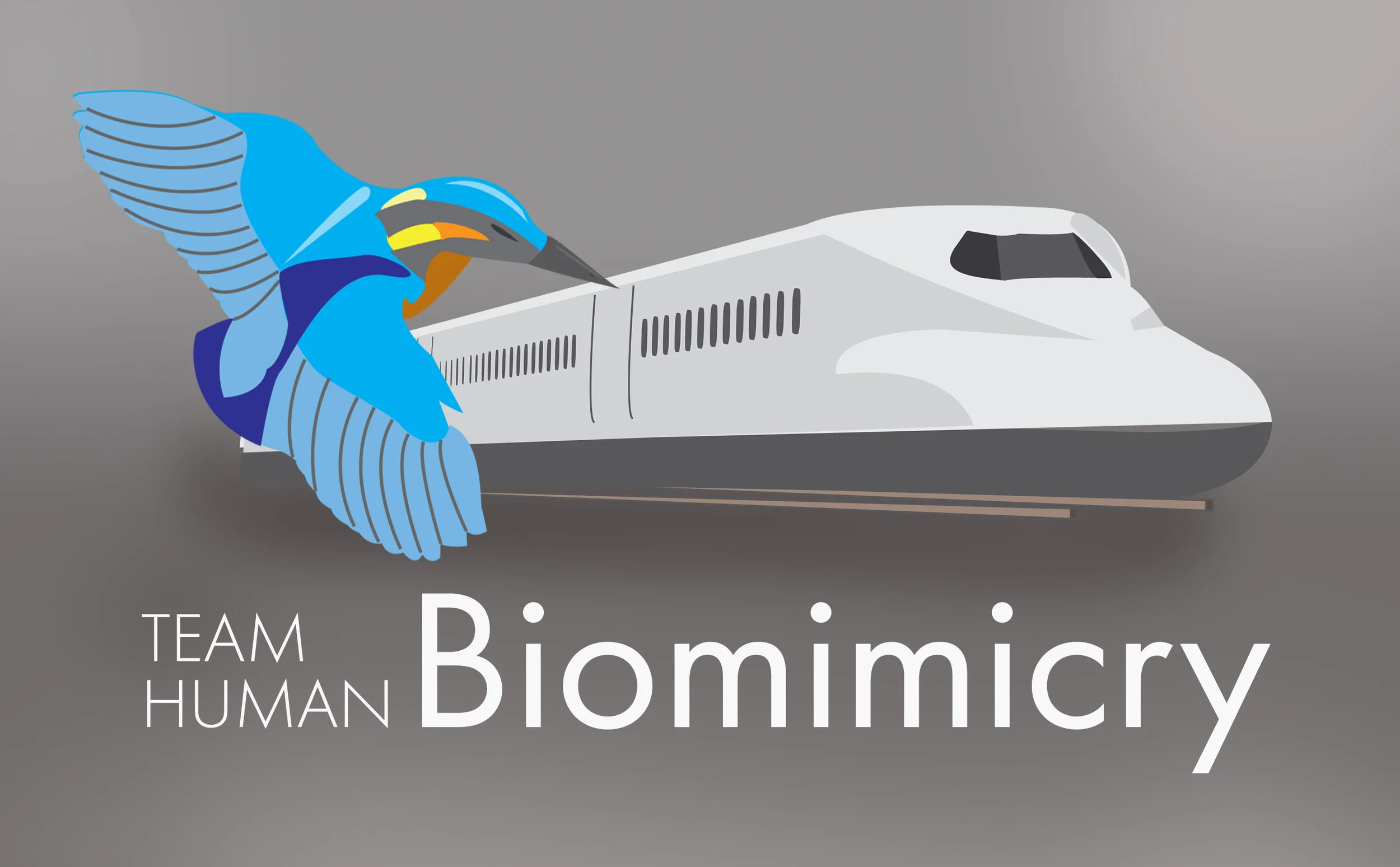 Biomim.jpg