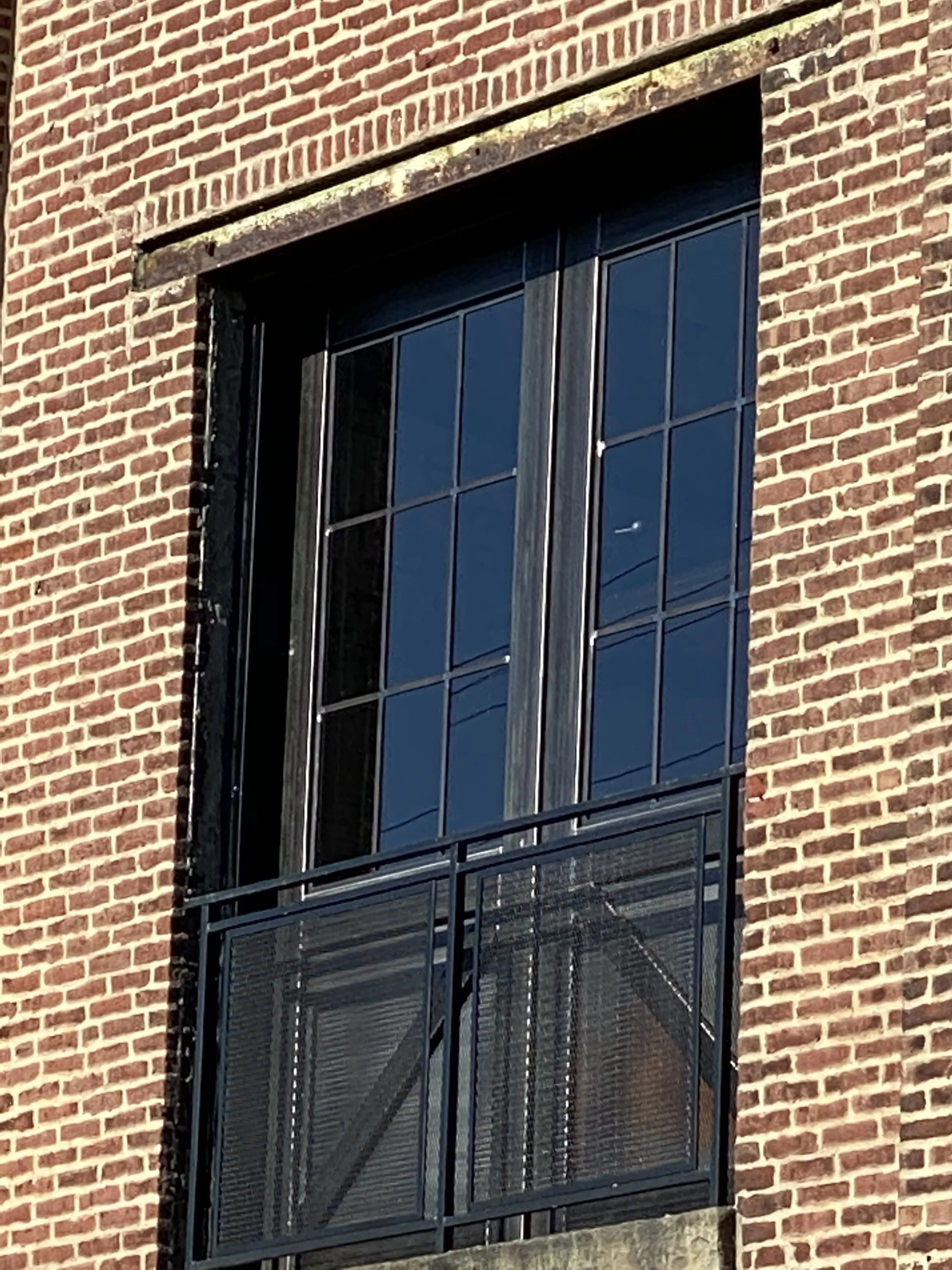 IMG_2568.jpeg