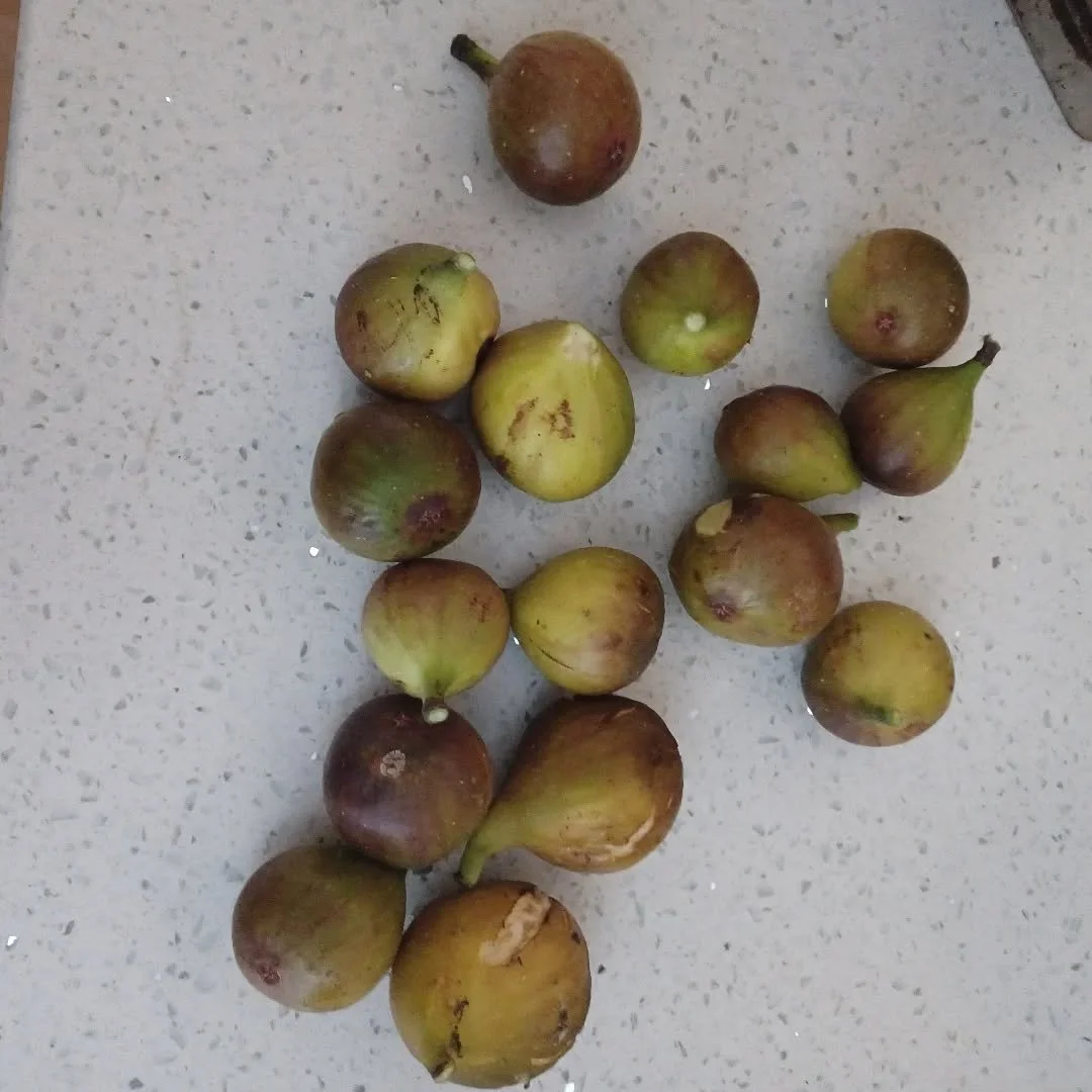 AI.... artificial intelligence vs. ANCIENT intelligence...

Which one should we be putting our energy into? 

I just heard this idea of AI being ancient intelligence on this video:

https://togetherwerisepodcast.substack.com/p/together-we-rise-jordan