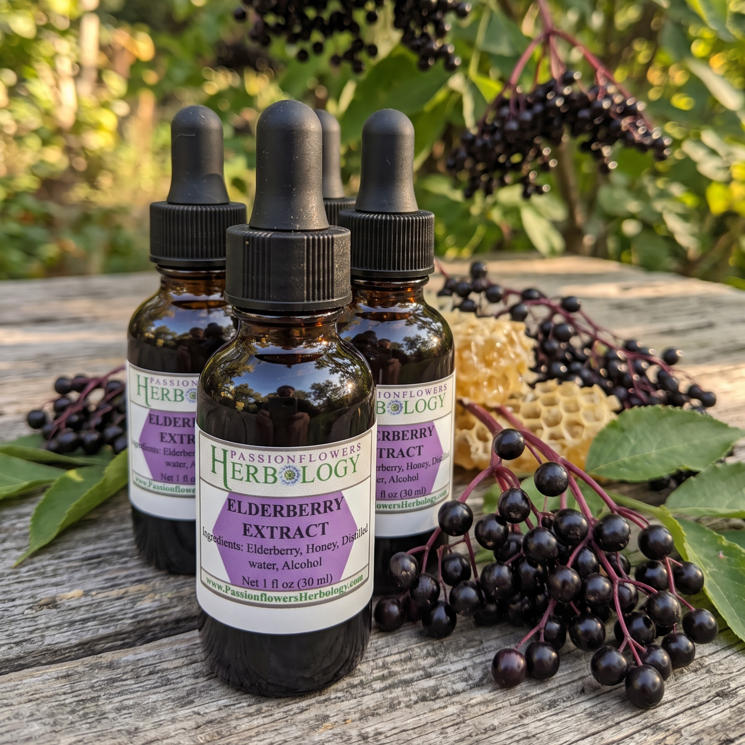 elderberry extract product image PFH.png