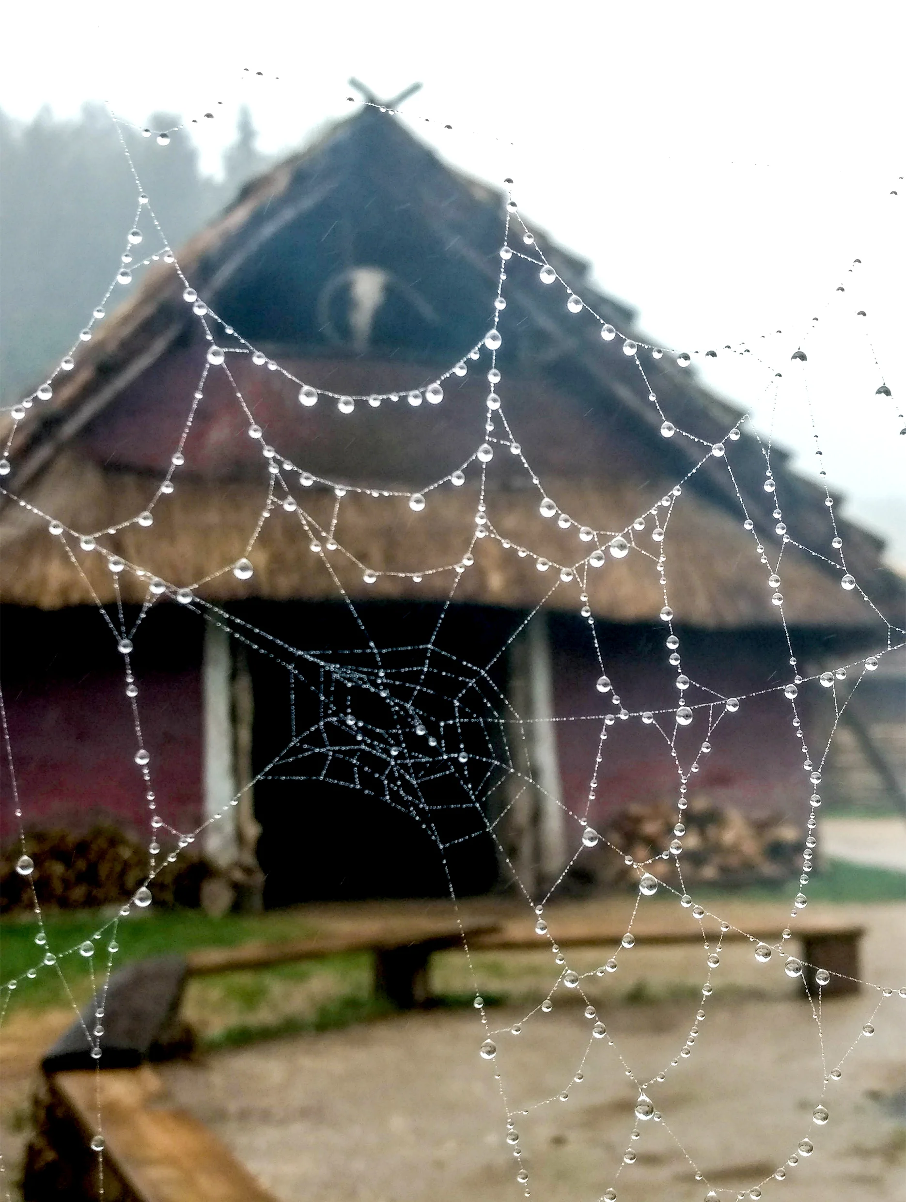 Samhain adventures this half term