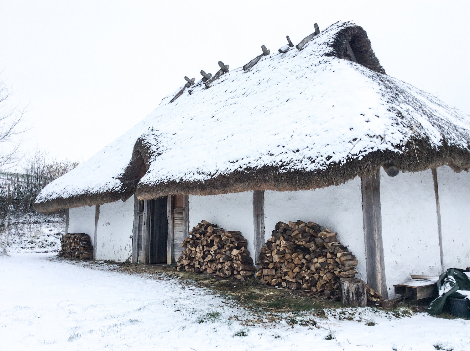 Butser Ancient Farm Saxon Hall in snow