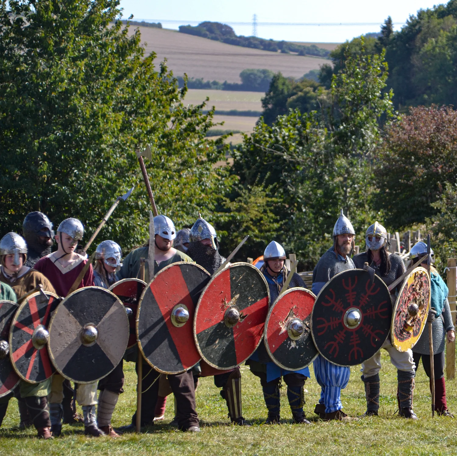 Vikings Attack Butser Ancient Farm!
