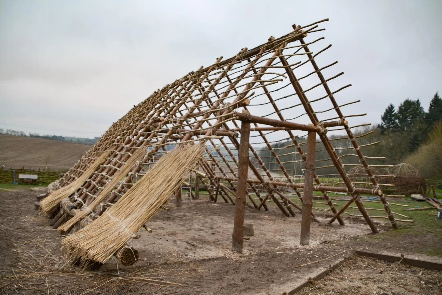 Neolithic House Project Week 4