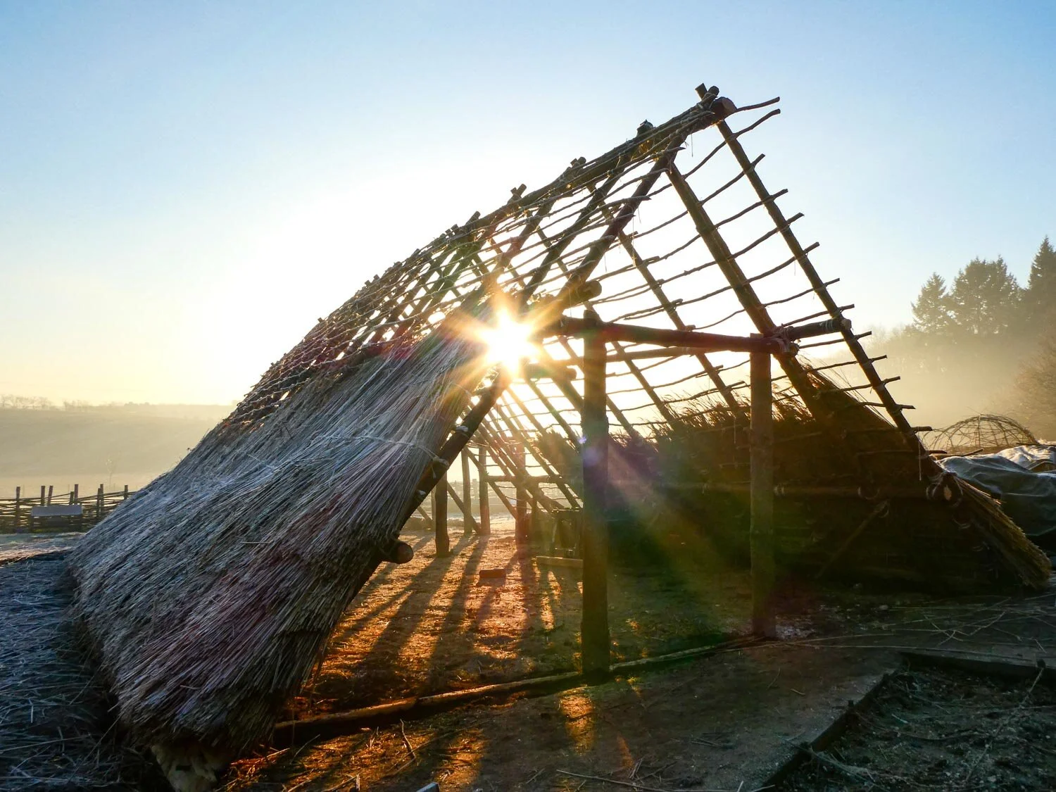 Neolithic House project week 6 