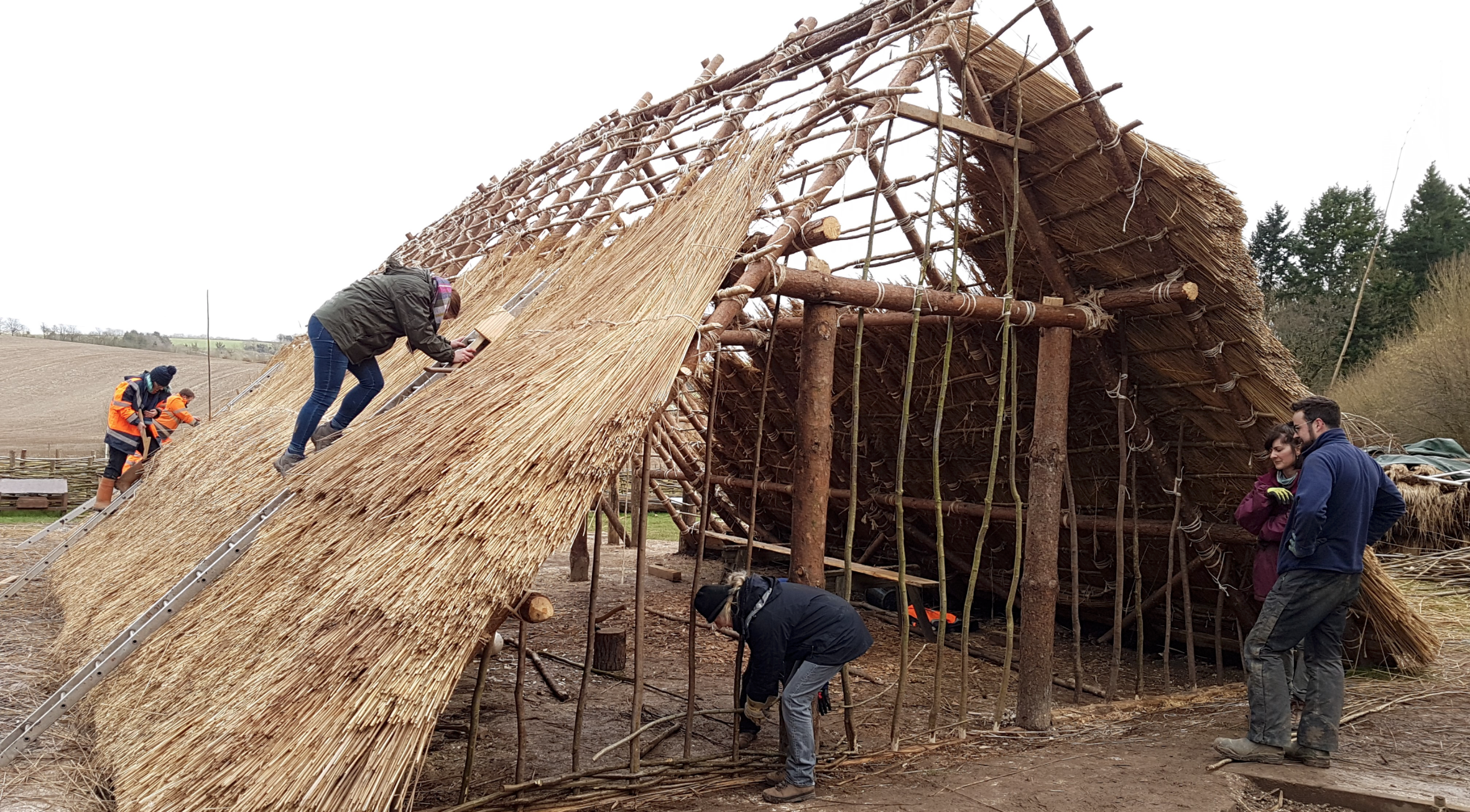 Neolithic House Project week 8 