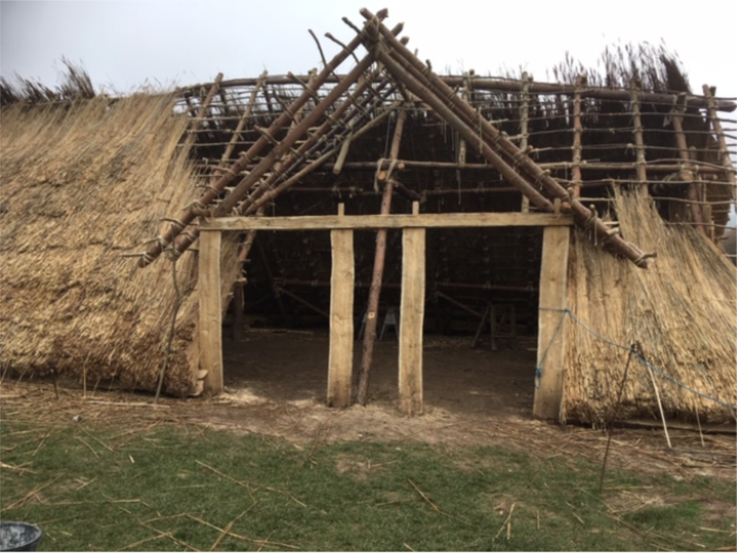 Neolithic House Project week 12