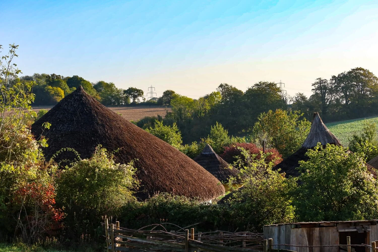 Butser Ancient Farm receives lifeline grant from Government’s £1.57bn Culture Recovery Fund&nbsp;