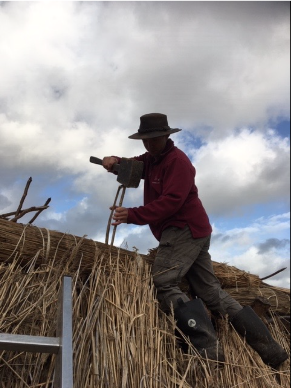 Neolithic House Project week 13+?!... work resumes! 
