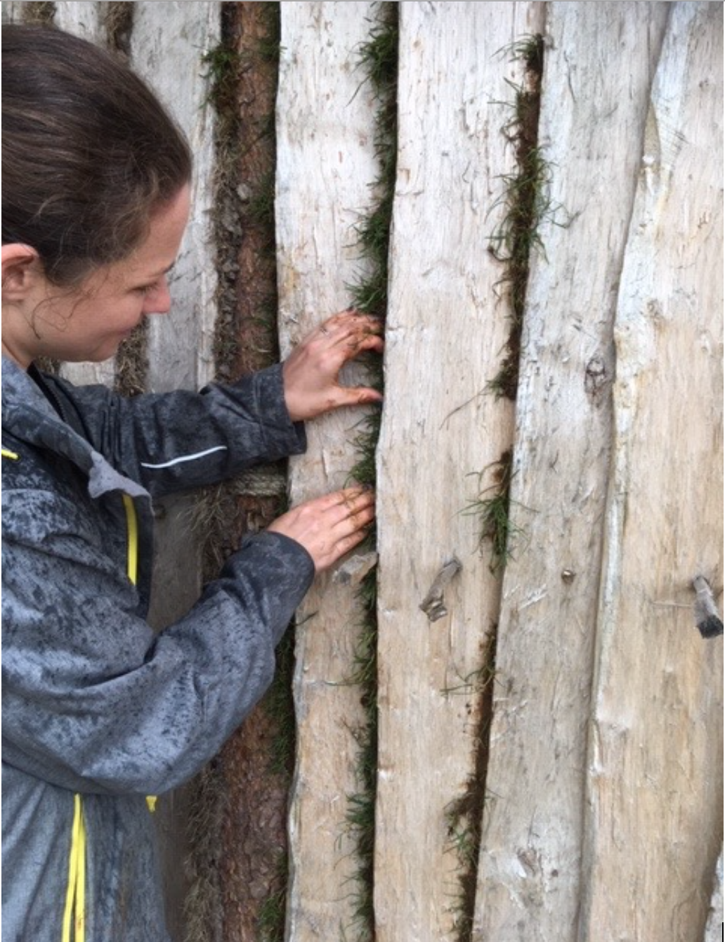 Neolithic House project blog 14