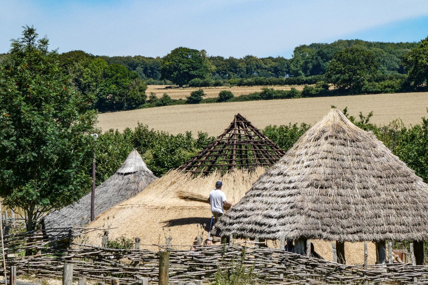 Thatching in the Iron Age enclosure