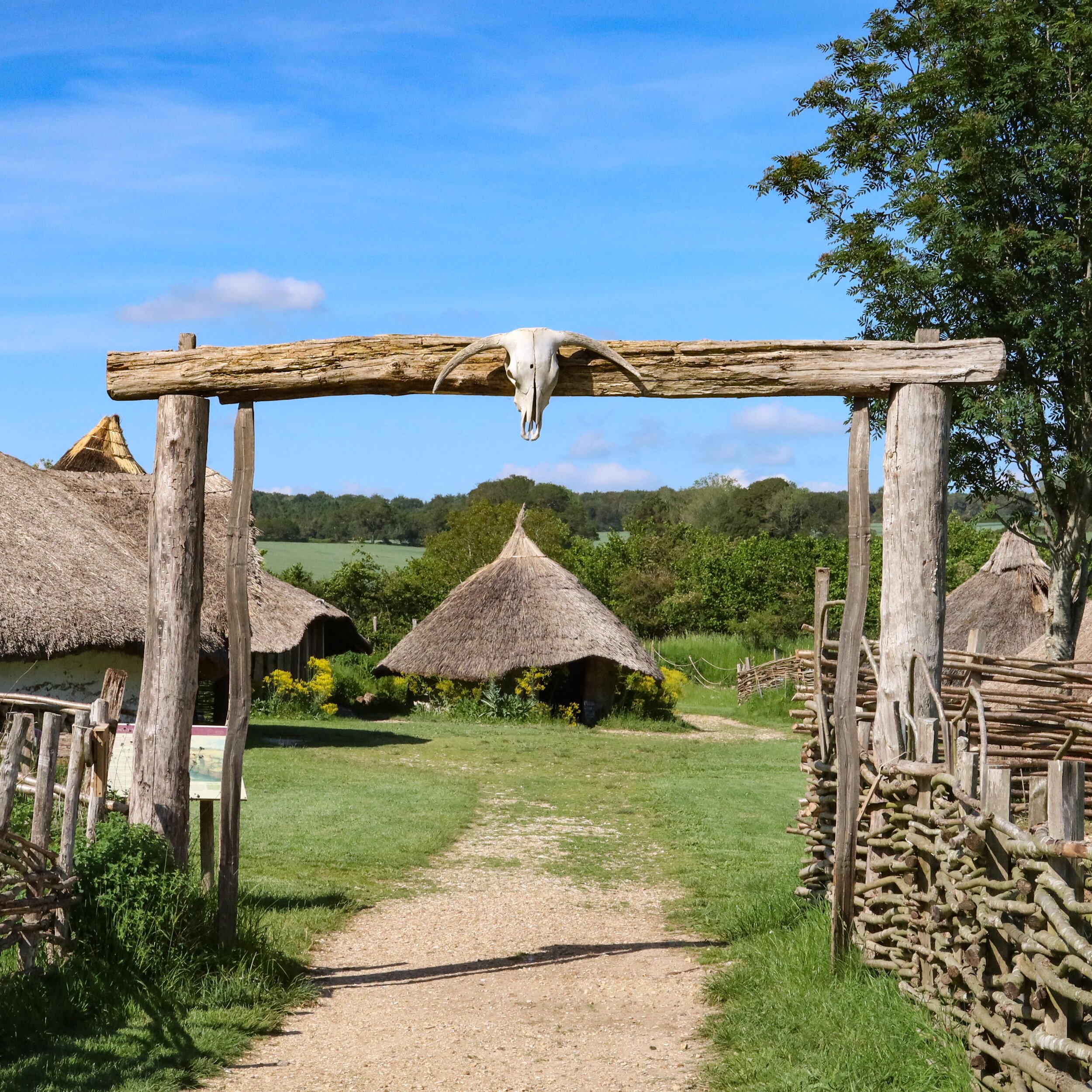 Roundhouses June 2021- photo Rachel Bingham-5225.jpg