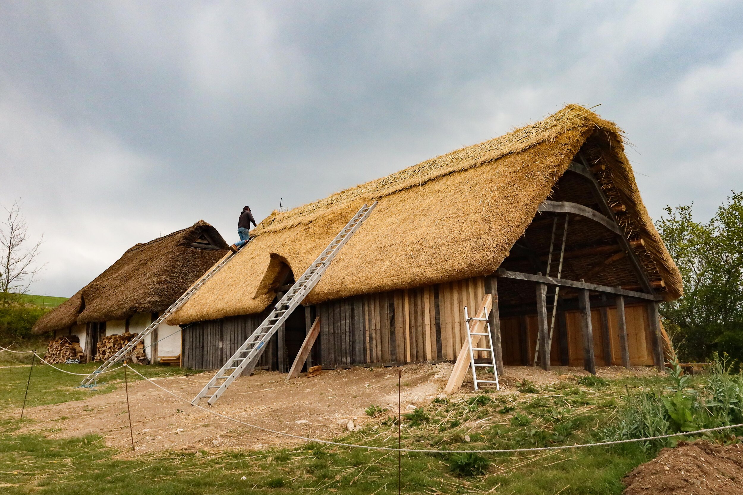 Saxon House thatching April 2021 - photo Rachel Bingham-4561.jpg