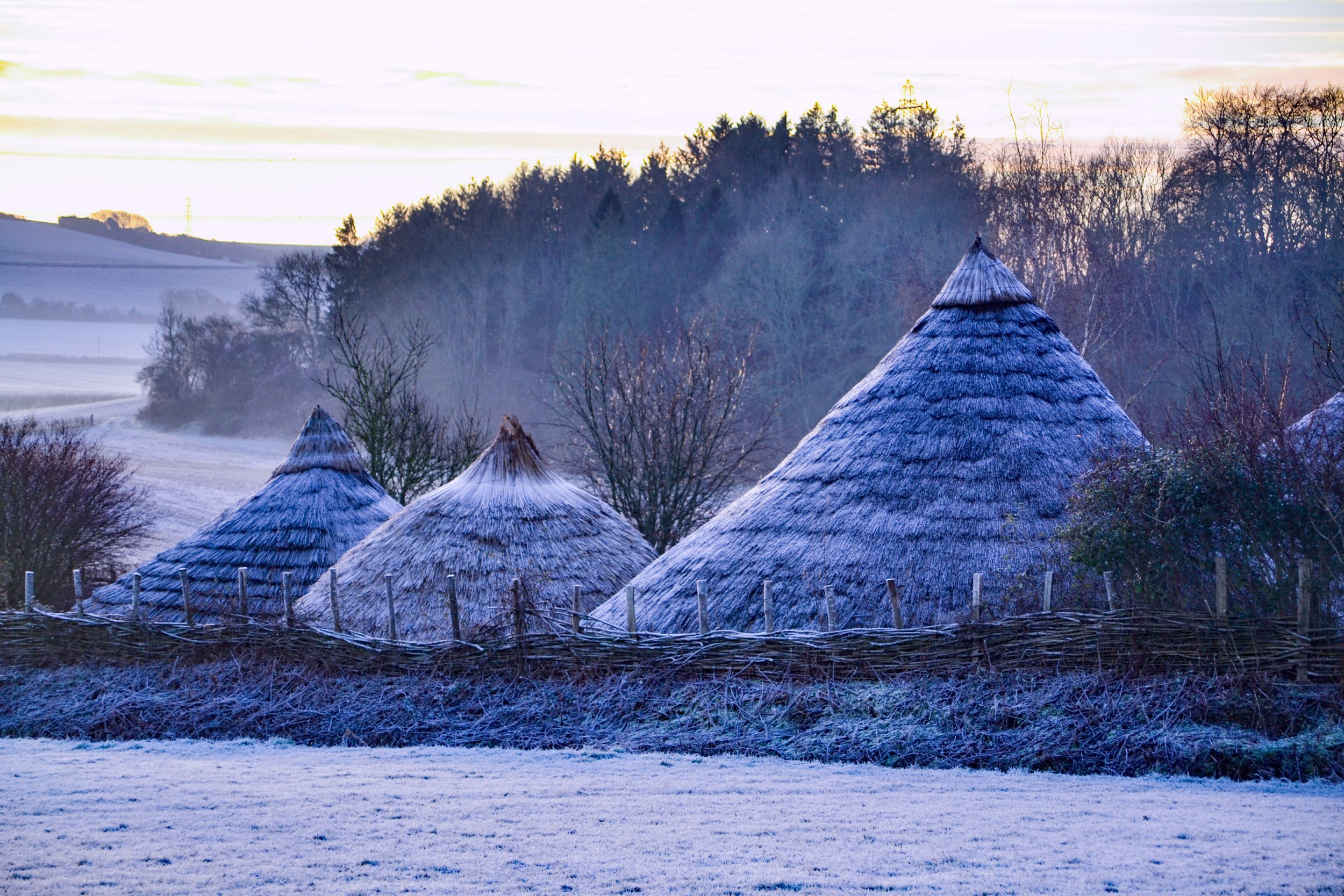 January 21, 2020Butser Ancient farm Iron Age winter frost - Rachel Bingham-0698(1).jpg