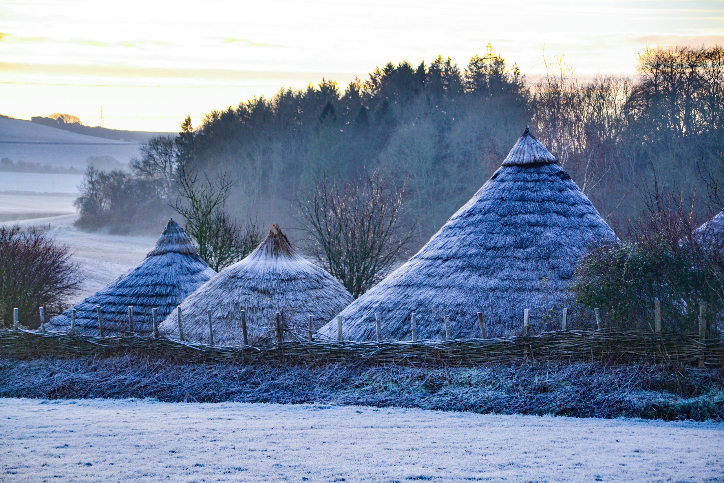 January 21, 2020Butser Ancient farm Iron Age winter frost - Rachel Bingham-0698.jpg