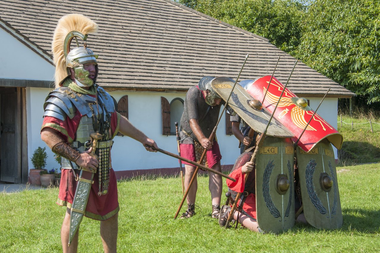 Roman Turtle (Eleanor Sopwith).jpg