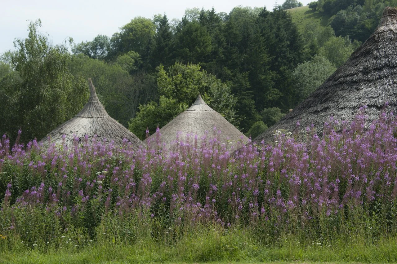 Flowers by Roundhouses (Eleanor Sopwith).jpg