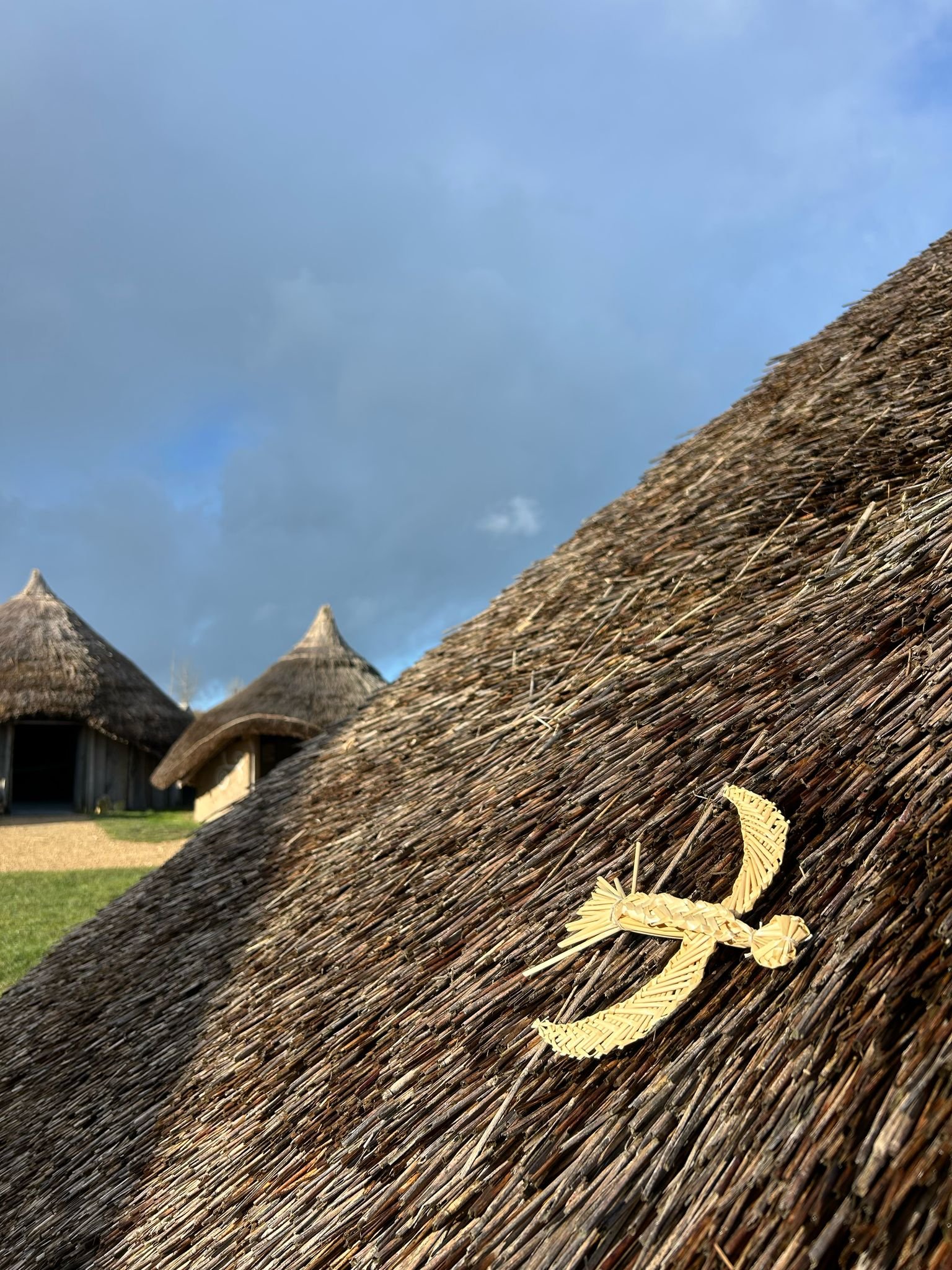 bird in thatch.jpg