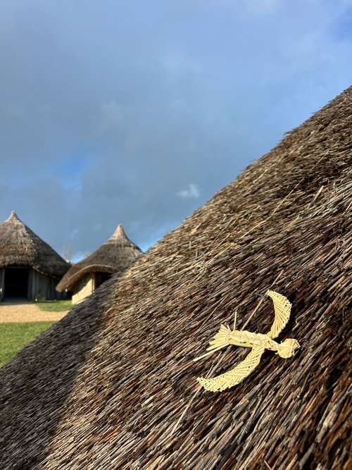 bird in thatch.jpg