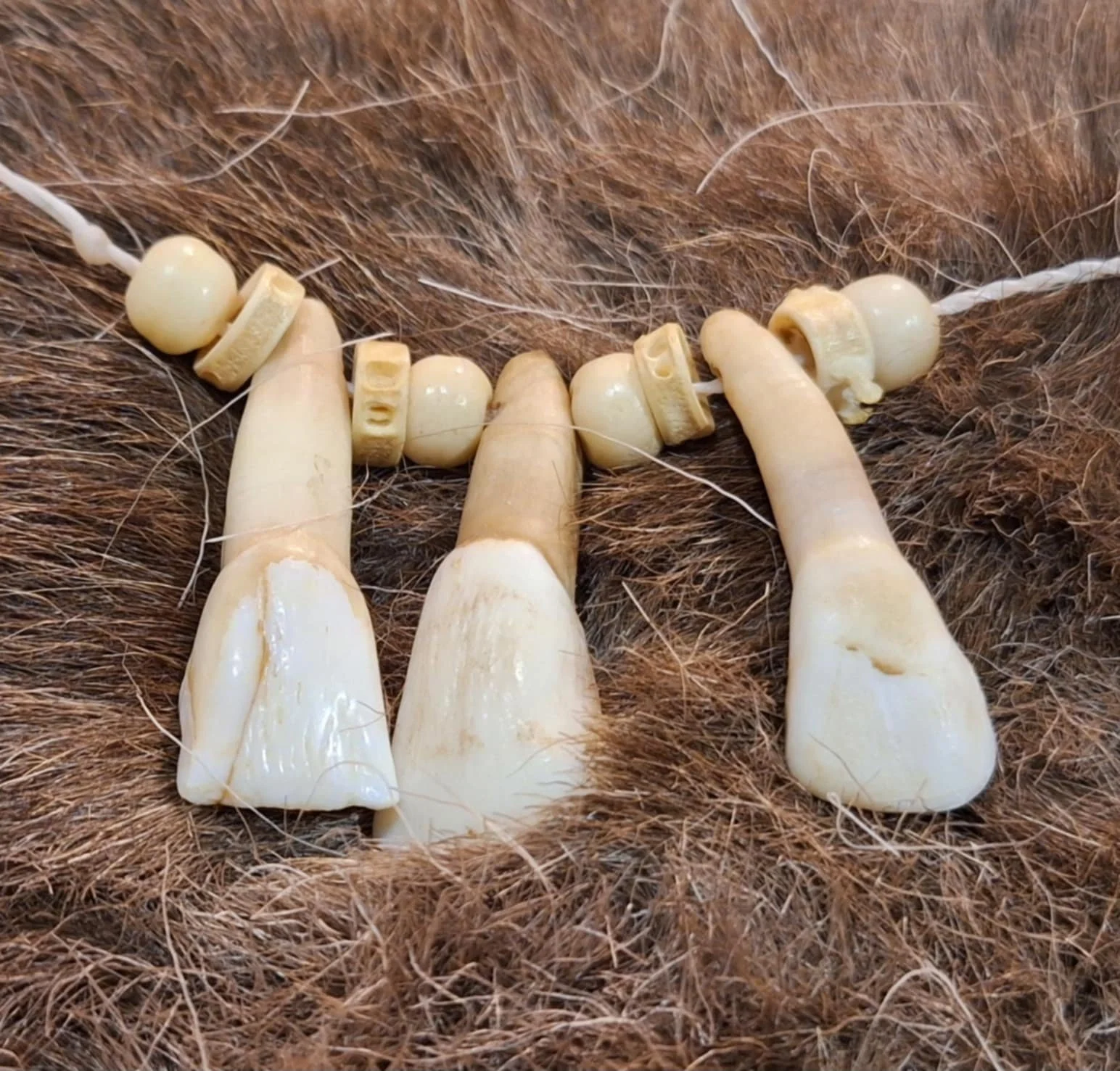 Introduction to the Stone Age