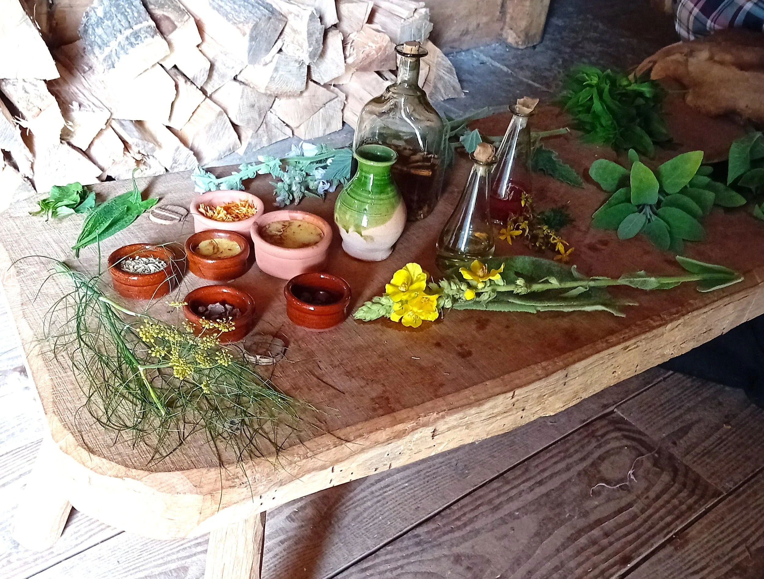 Sally Murdoch display of medicinal plants in the Saxon meadhall.jpg
