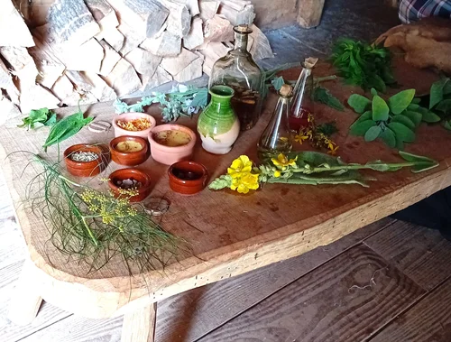 Sally Murdoch display of medicinal plants in the Saxon meadhall.jpg