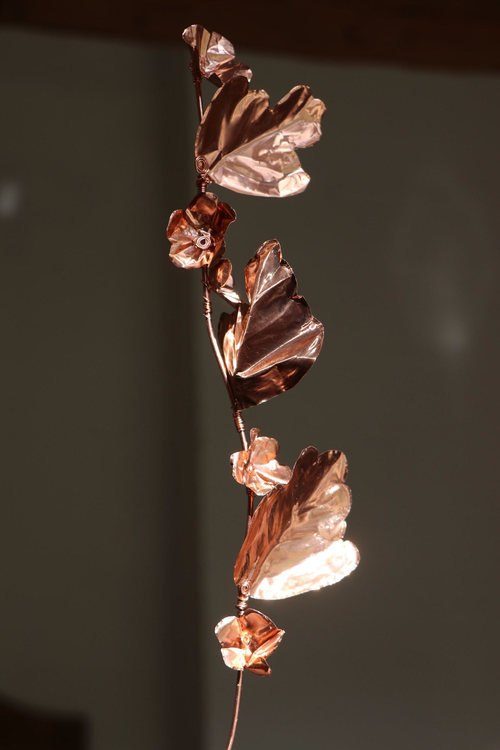 delicate.png