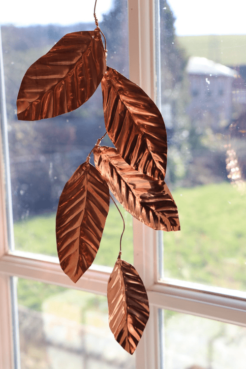 more plant.png