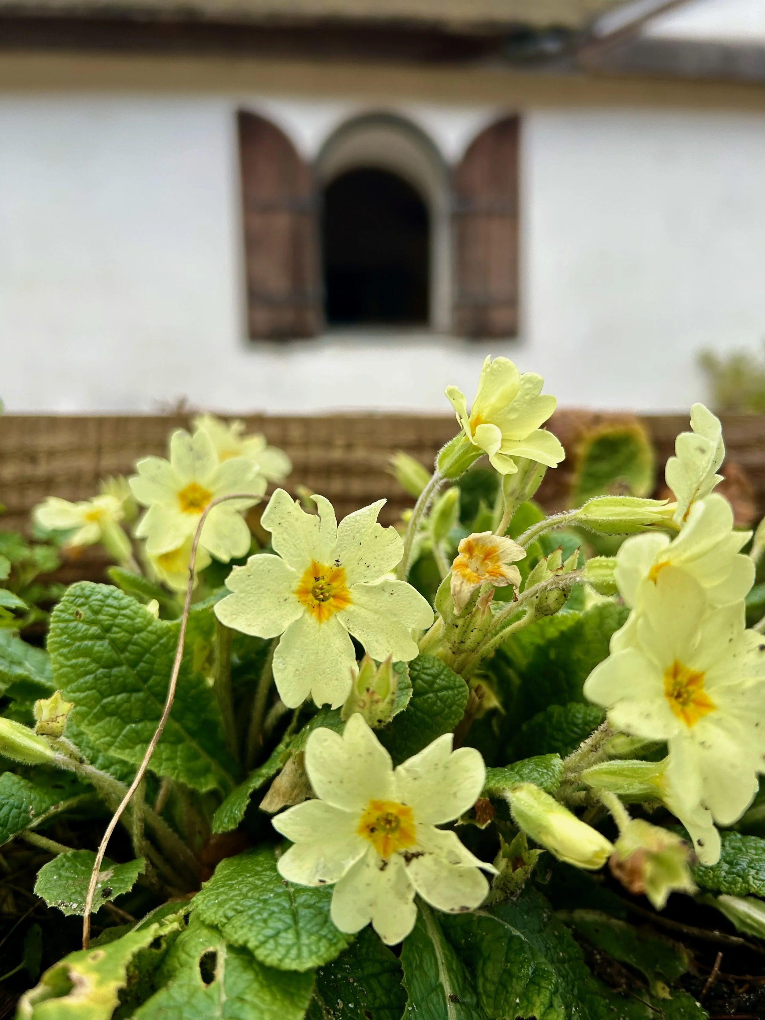 The First Stirrings of Spring