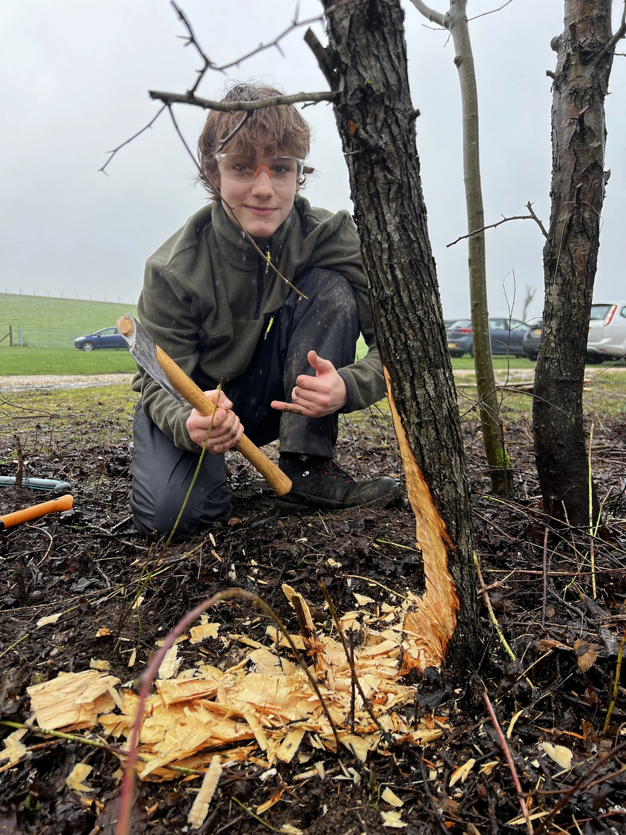 Twist, Cut, Weave: Why Hedgelaying Still Matters