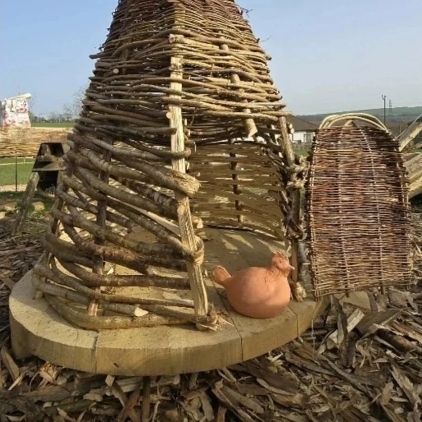 The Chicken House Eggsperiment